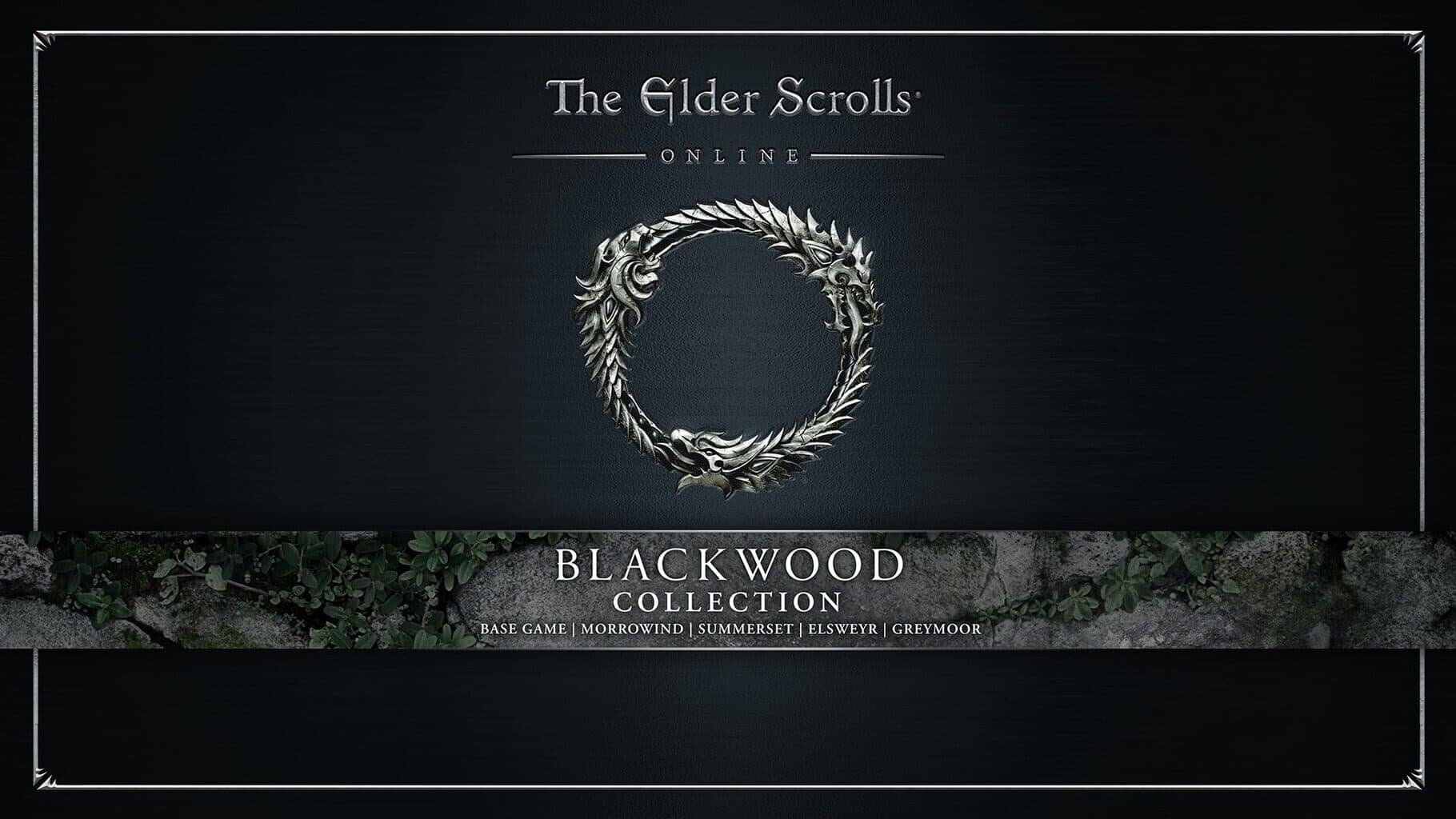 The Elder Scrolls Online: Blackwood Collection Image