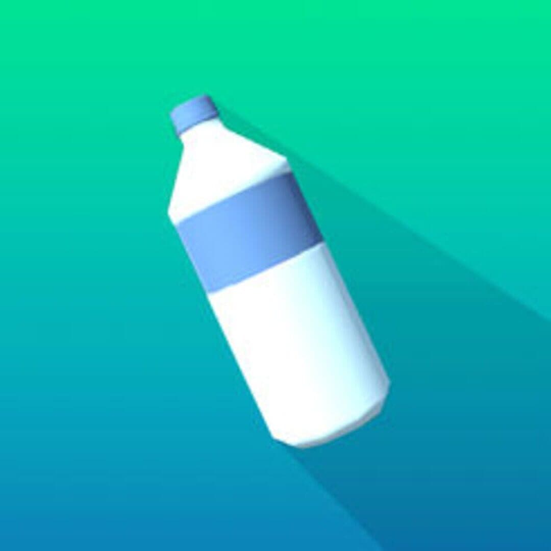 Bottle Flip 3D cover art