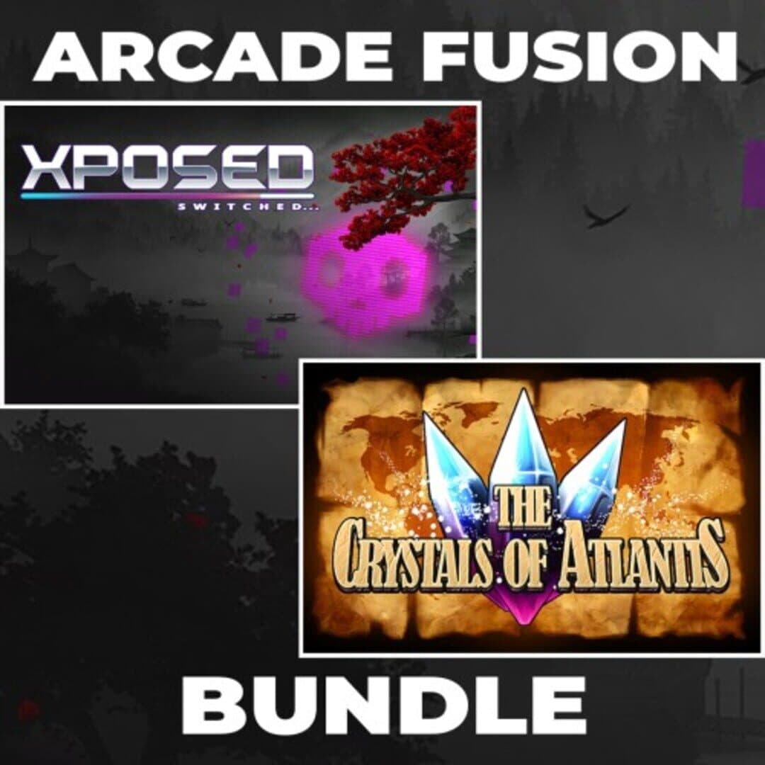 Arcade Fusion Bundle cover art