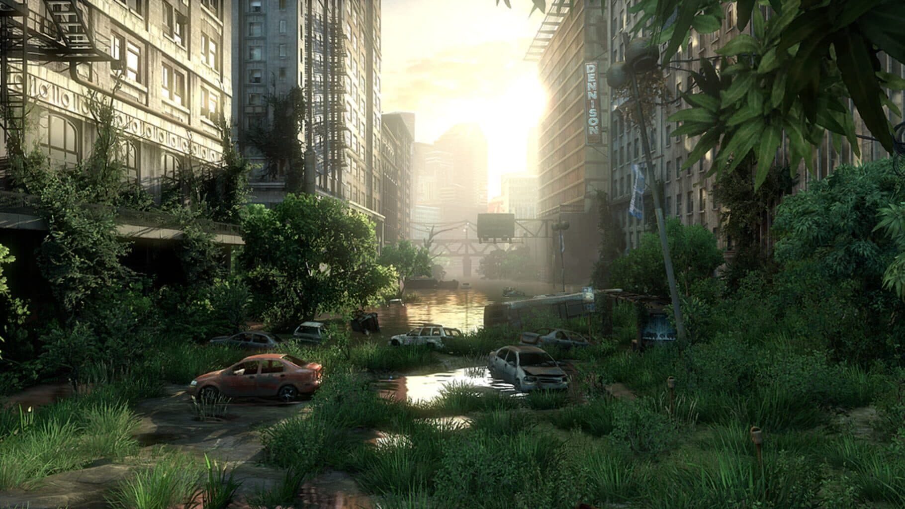 The Last of Us Image