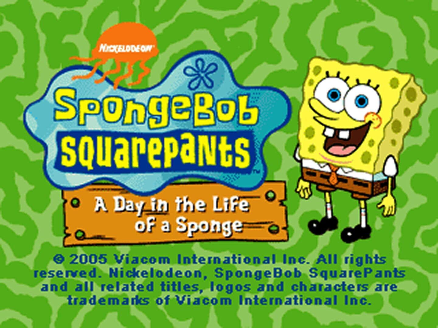 SpongeBob SquarePants: A Day in the Life of a Sponge Image
