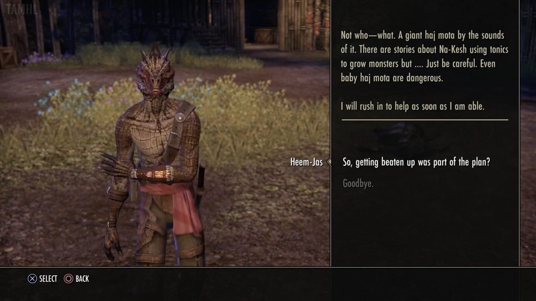 The Elder Scrolls Online: Shadows of the Hist Image