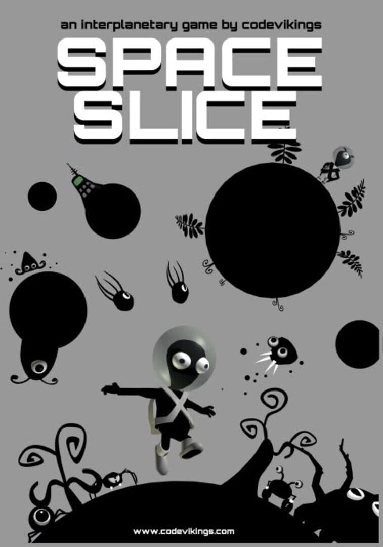 Space Slice cover art