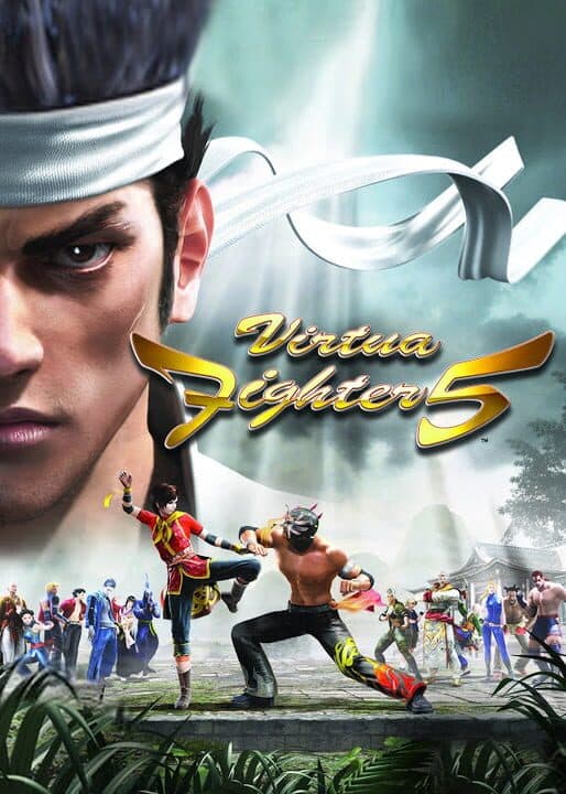 Virtua Fighter 5 cover art