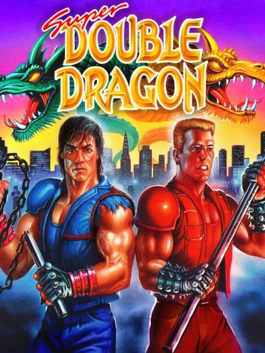 Super Double Dragon cover art