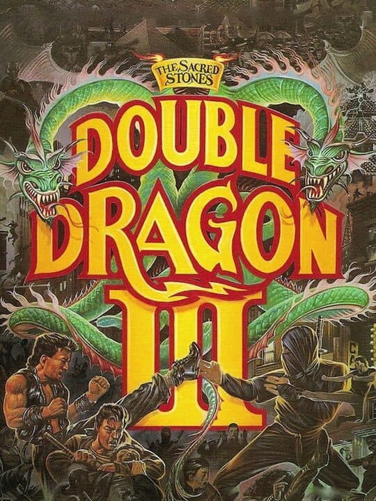 Double Dragon III: The Sacred Stones cover art