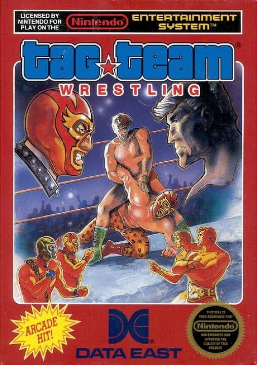 Tag Team Wrestling cover art